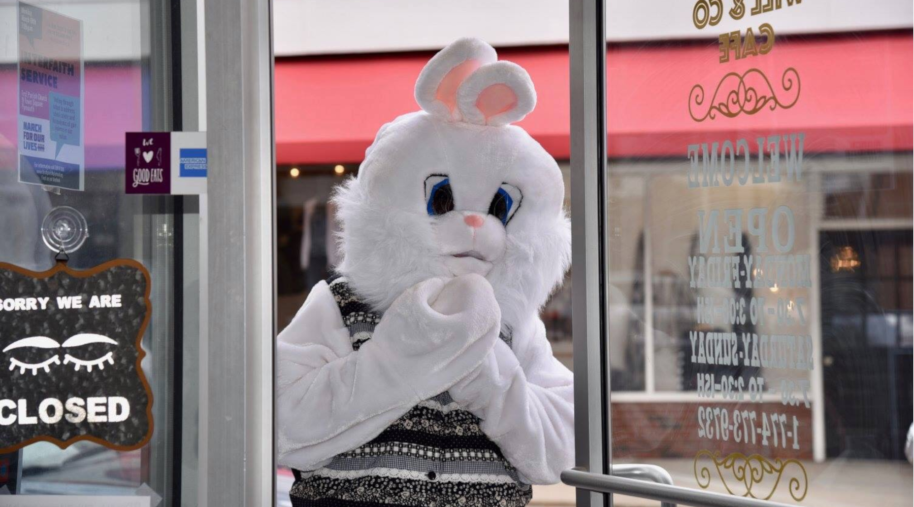 Easter Bunny